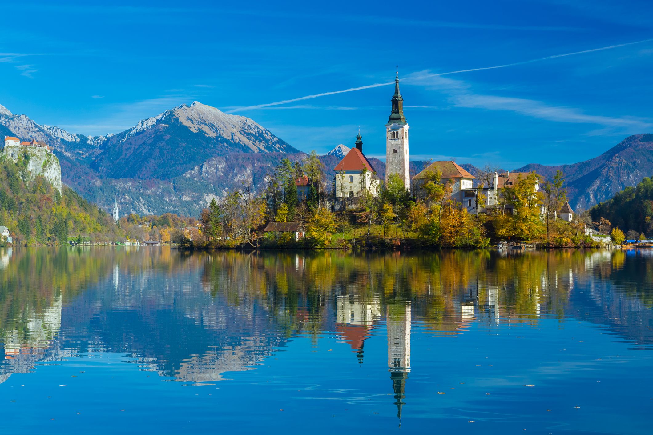 Bled